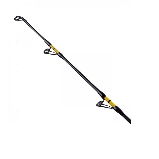 Lanseta Fl Catfish Passion Pro 3.00m 300-600g