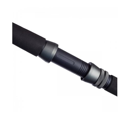Lanseta Fl Catfish Passion Pro 3.00m 300-600g